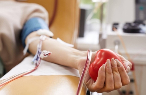 Campanha Junho Vermelho incentiva doação de sangue